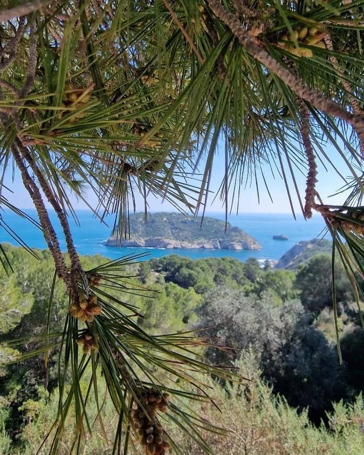 Arenal Daire Javea Dış mekan fotoğraf